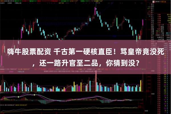 嗨牛股票配资 千古第一硬核直臣！骂皇帝竟没死，还一路升官至二品，你猜到没？